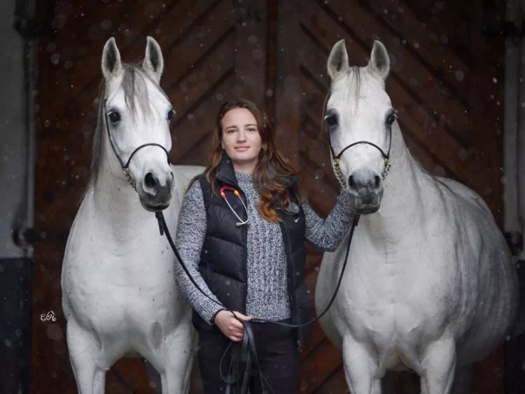 kobieta między dwoma białymi koniami