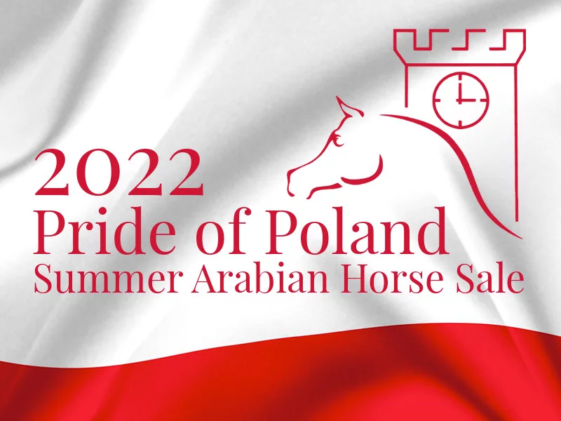 aukcje Pride of Poland